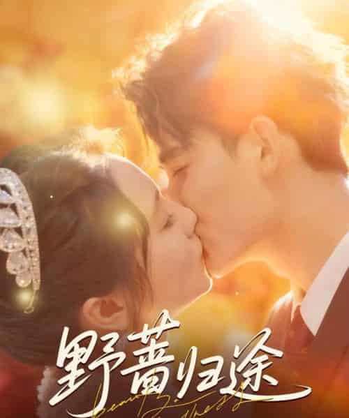 野蔷归途（80集全）李书滔＆尚芸琪-搜外项目网
