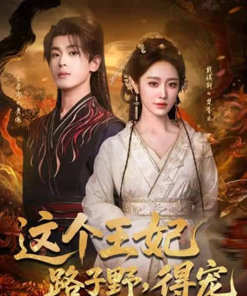 这个王妃路子野,得宠(77集全)李若洵&戴琪轩-搜外项目网