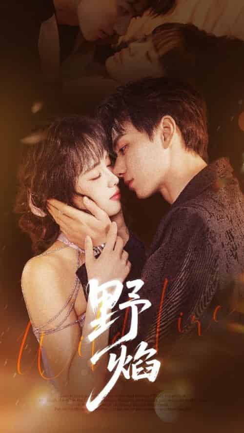 野焰 未删减版（60集全）陈政阳＆郑千亦-搜外项目网