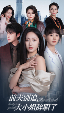 前夫别追大小姐辞职了（31集全）白雪茹-搜外项目网