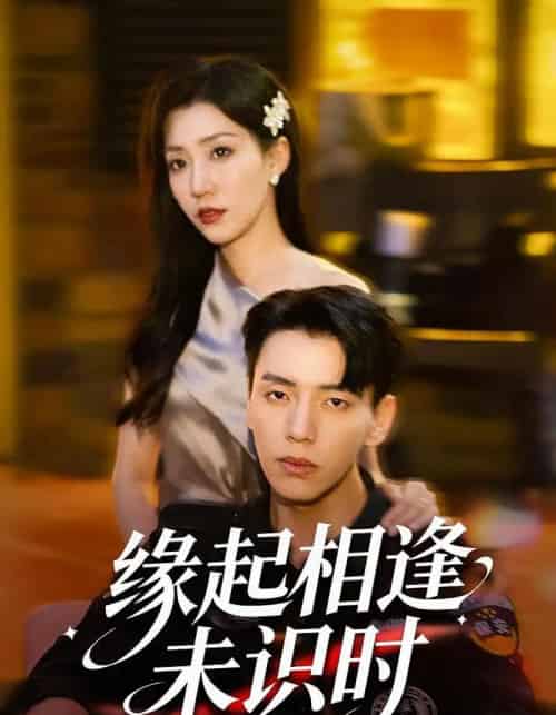 缘起相逢未识时（57集全）孙同钰＆尼玛坚赞-搜外项目网