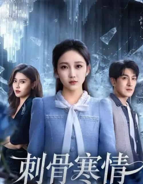 刺骨寒情（58集全）林可汉＆马菲-搜外项目网