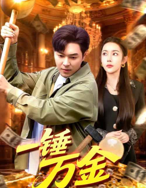 一锤万金(109集全)杨林涛&刘晨宇-搜外项目网