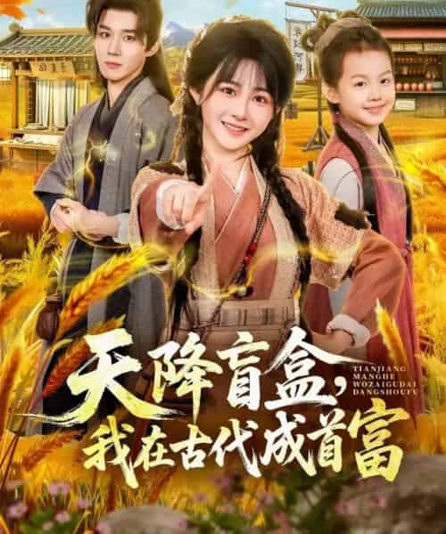 天降盲盒,我在古代成首富(80集全)耿致忻&杨馥羽-搜外项目网