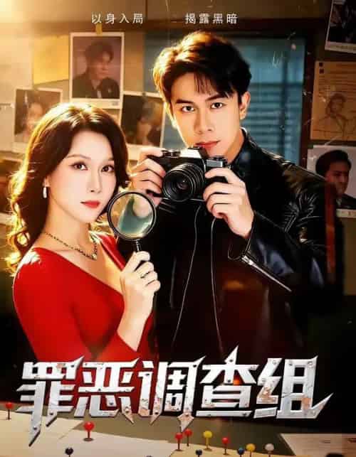 罪恶调查组（60集全）胡文飞＆郭茗苑-搜外项目网