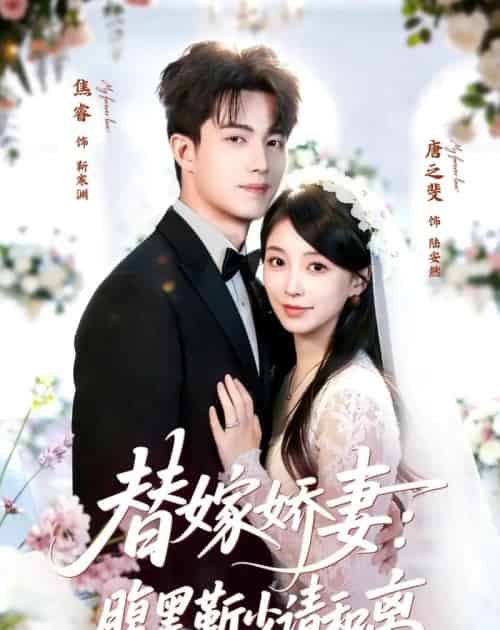 替嫁娇妻:腹黑靳少请和离(80集全)焦睿&唐之斐-搜外项目网