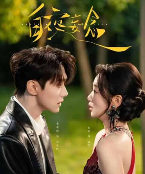 白夜妄念（73集全）麦童＆李卓扬-搜外项目网