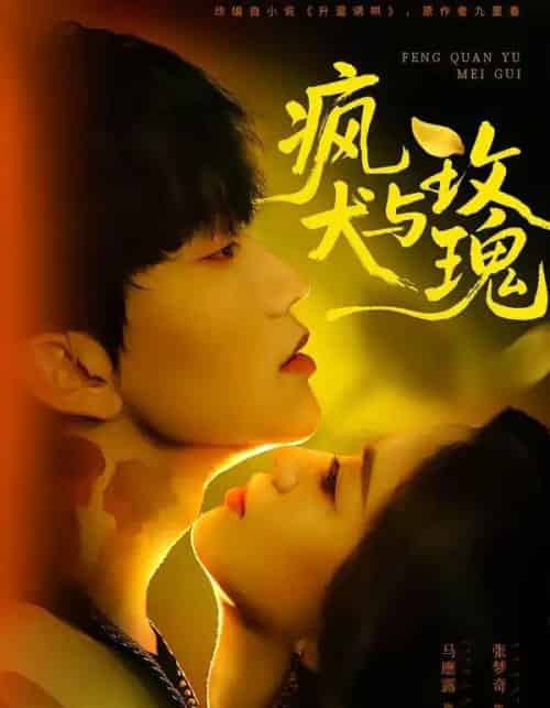 疯犬与玫瑰(80集全)马應露&张梦奇-搜外项目网