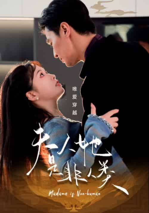 夫人她是非人类（58集全）顾惜朝＆沈梦离-搜外项目网