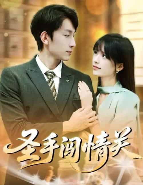 圣手闯情关（60集全）李泽平＆李依依-搜外项目网