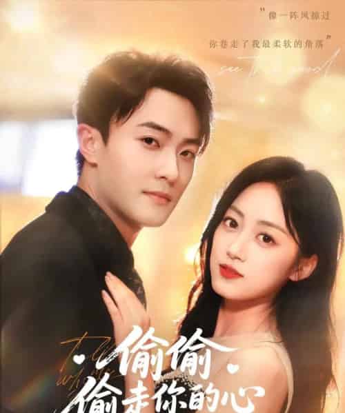 偷偷偷走你的心（50集）薛琪慧＆杨文昊＆白丹形-搜外项目网