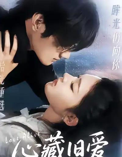 心藏旧爱（73集全）聂文华＆王知煜-搜外项目网