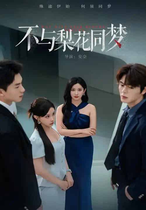 不与梨花同梦（50集全）张玉娇＆徐扬灏-搜外项目网