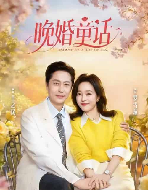 晚婚童话（81集全）王之民＆罗雪琼-搜外项目网