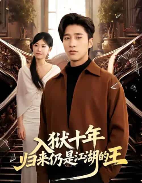 入狱十年，归来仍是江湖的王（50集全）崔旭阳＆李经瑞-搜外项目网