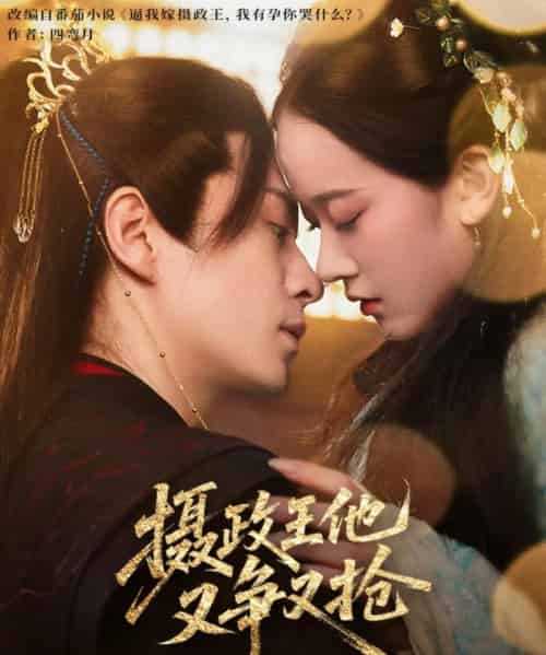 摄政王他又争又抢（62集）夏宁骏＆李卓乐-搜外项目网