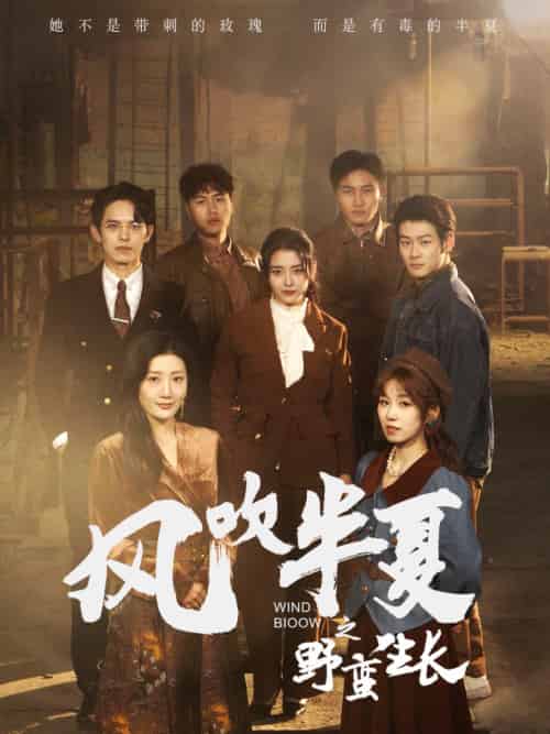风吹半夏之野蛮生长（59集）宋暖-搜外项目网