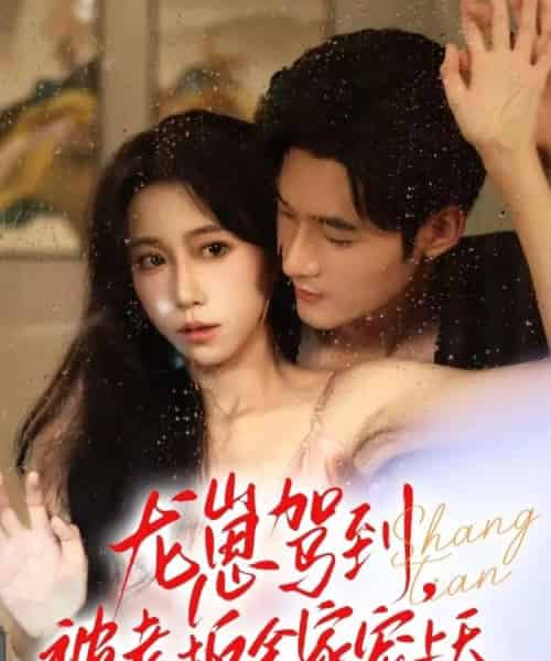 龙崽驾到被老板全家宠上天（60集全）孟佳辉＆王新媛-搜外项目网