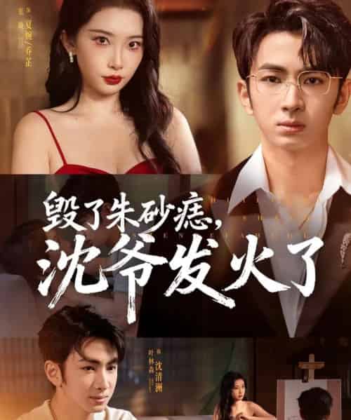 毁了朱砂痣,沈爷发火了(60集全)叶森林&张璇-搜外项目网