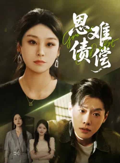 恩债难偿（60集）侯雨彤＆李枫池-搜外项目网