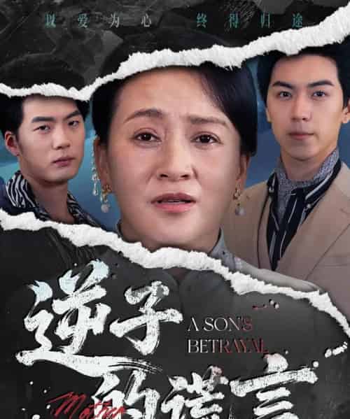 逆子的谎言（60集全）李予苏＆牛一凡-搜外项目网