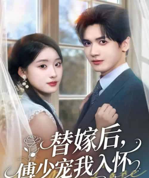 替嫁后，傅少宠我入怀（78集全）胡家豪＆王燕飞-搜外项目网