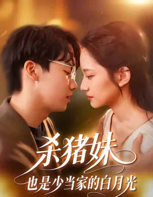 杀猪妹，也是少当家的白月光（60集全）刘相奇＆郑曾蓉-搜外项目网