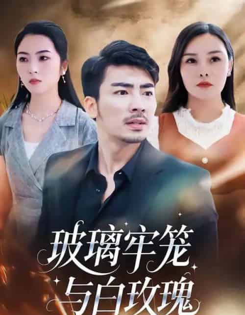 玻璃牢笼与白玫瑰（75集全）张瀚文（男）＆郑曦月-搜外项目网