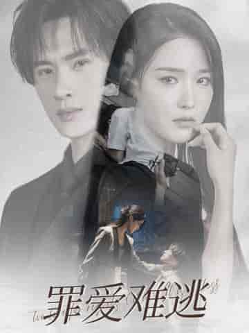 罪爱难逃（48集全）张紫琳-搜外项目网