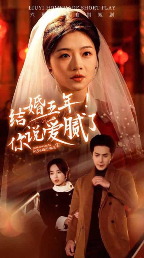 结婚五年你说爱腻了（50集全）付予-搜外项目网
