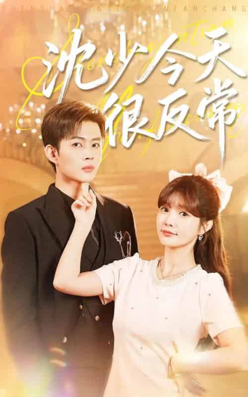 沈少今天很反常（100集全）邹济隆＆赵美璇-搜外项目网