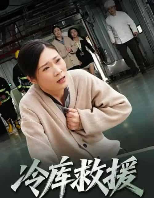 冷库救援（40集全）谢海燕＆王景华-搜外项目网