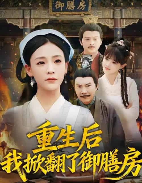 重生后我掀翻了御膳房（69集全）杨晨曦＆史强-搜外项目网