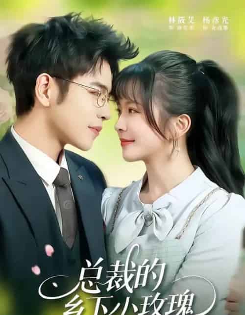总裁的乡下小玫瑰(102集全)杨彦光&林筱艾-搜外项目网