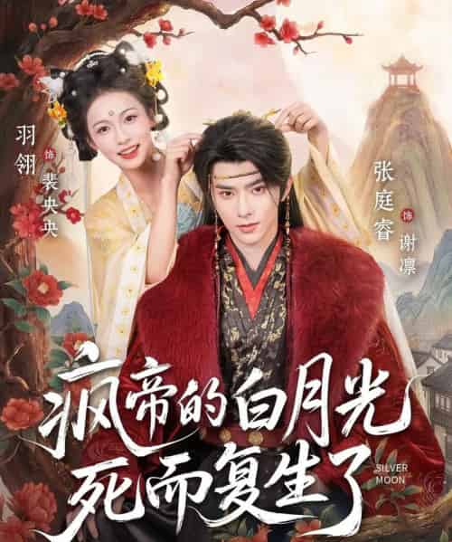 疯帝的白月光死而复生了(78集全)张庭睿&羽翎-搜外项目网