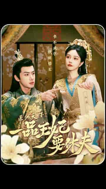 医倾天下:一品王妃要休夫(96集)田熙雯-搜外项目网