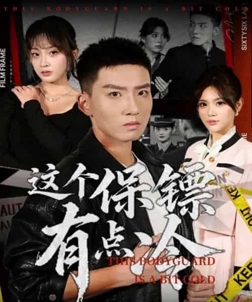 这个保镖有点冷(80集全)霍文琦&张伊晨-搜外项目网