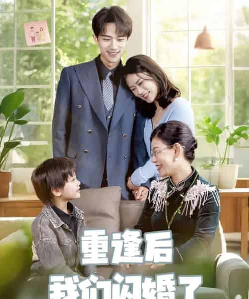 重逢后我们闪婚了（35集）李永臻＆黄柳月-搜外项目网