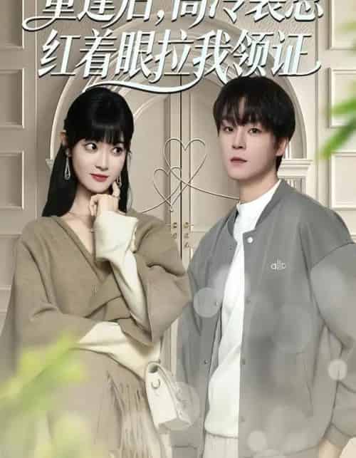 重逢后，高冷裴总红着眼拉我领证（77集全）申亚伟＆周舟-搜外项目网