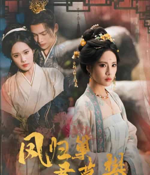 凤归巢君莫攀（60集全）王禹翰＆刘昱辰-搜外项目网