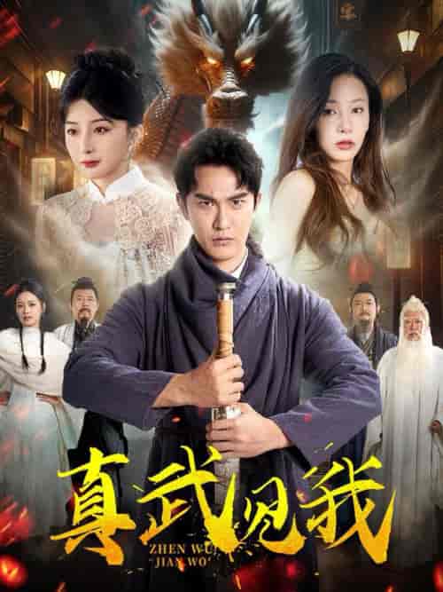 真武见我（60集全）陈天晓＆杨晨璐＆初五-搜外项目网