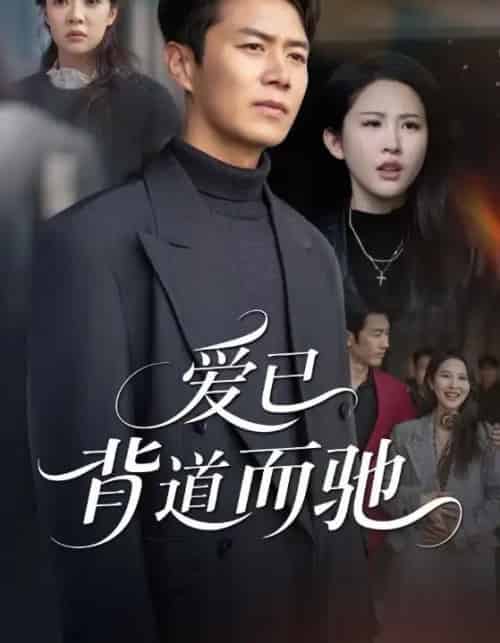 爱已背道而驰（70集全）朱艺雯＆陈聿修-搜外项目网