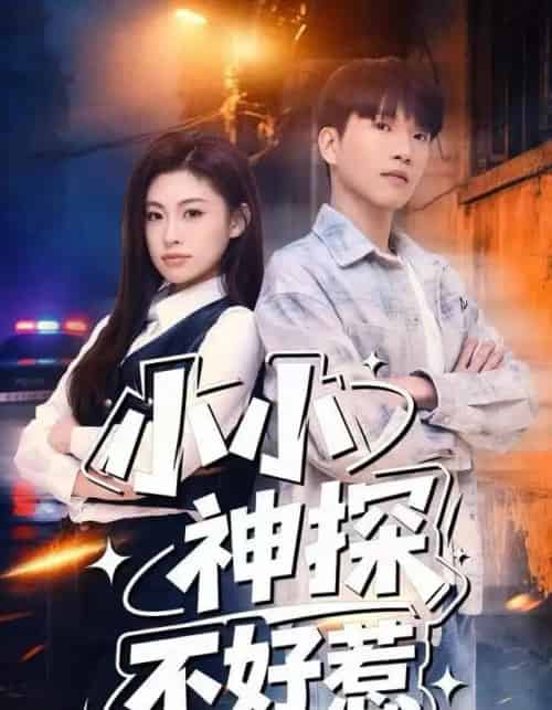 小小神探不好惹（80集全）薛一凤＆王奥龙-搜外项目网