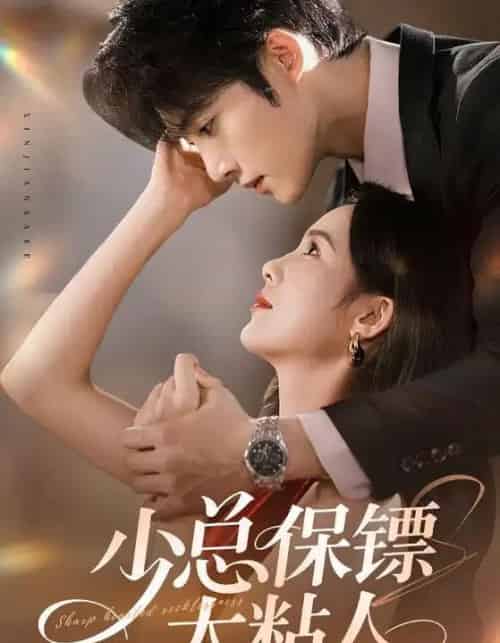 少总保镖太粘人(73集全)周嘉怡&陈名豪-搜外项目网