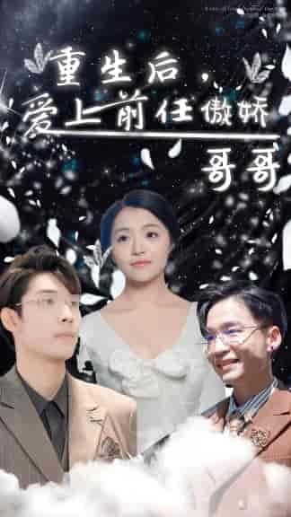 重生后，爱上前任的傲娇哥哥（81集）-搜外项目网