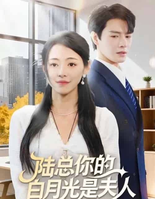 陆总你的白月光是夫人（51集全）李彬航＆王思莹-搜外项目网
