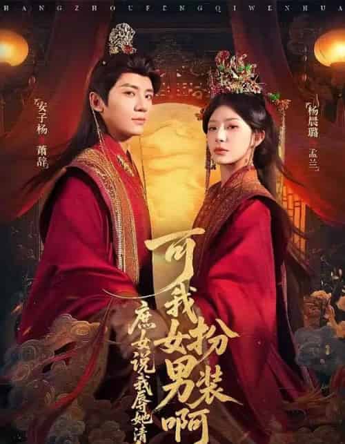 庶女说我辱她清白，可我女扮男装啊（60集全）安子杨＆杨晨璐-搜外项目网