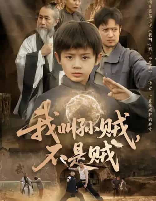 我叫孙贼,不是贼(80集全)林宸毅&乔亚梅&焦梓豪-搜外项目网