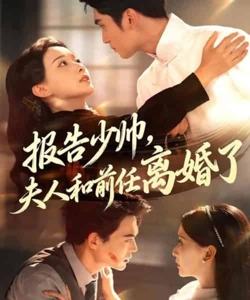 报告少帅，夫人和前任离婚了（81集全）李思杨＆蔺瑞雪-搜外项目网