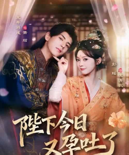 陛下今日又孕吐了（84集全）王年将成＆彭瑶-搜外项目网